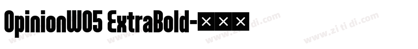 OpinionW05 ExtraBold字体转换 OpinionW05 ExtraBold字体转换